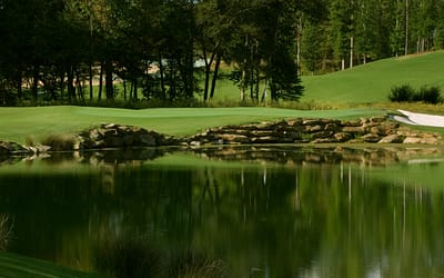 A Blueprint for Success